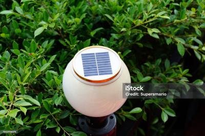 Các Mẫu Đèn Năng Lượng Mặt Trời Xenon Lý Tưởng Chiếu Sáng Sân Vườn Đón Tết Nguyên Đán