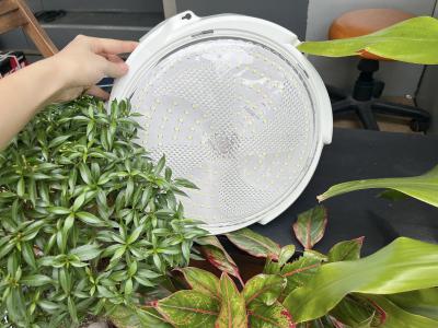 Chi Phí Đầu Tư Ban Đầu Cho Đèn Năng Lượng Mặt Trời: Những Điều Cần Biết