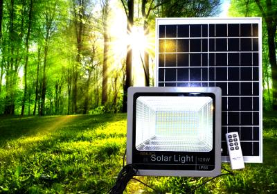 Chiếu Sáng Xanh: Vai Trò Của Đèn Năng Lượng Mặt Trời Trong Việc Giảm Thiểu Khí Thải Carbon