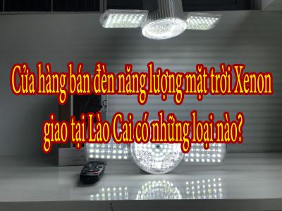 Cửa hàng bán đèn năng lượng mặt trời Xenon giao tại Lào Cai có những loại nào?