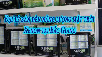 Đại lý bán đèn năng lượng mặt trời Xenon giao Bắc Giang