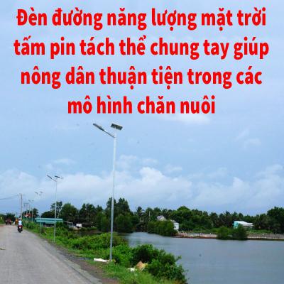 Đèn đường dùng năng lượng của mặt trời tấm pin tách thể chung tay giúp nông dân thuận tiện trong các mô hình chăn nuôi