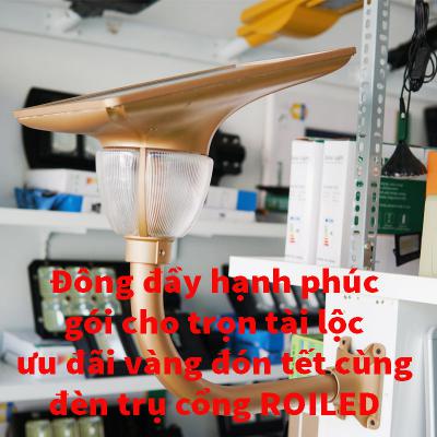 Đong cho đầy hạnh phúc, gói cho trọn lộc tài, ưu đãi vàng đón Tết cùng đèn trụ cổng Roiled