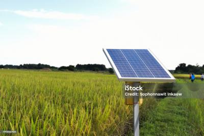 Làm Thế Nào Đèn Năng Lượng Mặt Trời Giúp Cải Thiện Đời Sống Nông Dân?