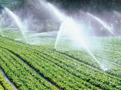 Lắp điện năng lượng cho hệ thống tưới tự động