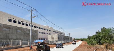 Liền Thể Hay Tách Rời? Lựa Chọn Cấu Hình Đèn Năng Lượng Mặt Trời Tối Ưu 