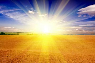 Nguyên lý điện mặt trời hòa lưới