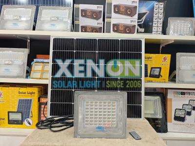 Phân Biệt Các Loại Đèn Năng Lượng Mặt Trời Phổ Biến: Đèn Pha, Đèn Đường Và Đèn Sân Vườn