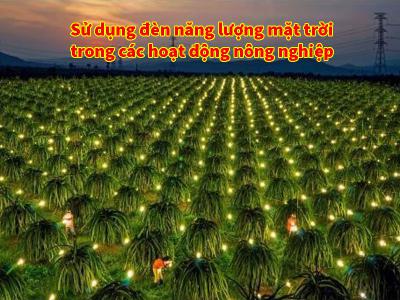Sử Dụng Đèn NLMT Trong Nông Nghiệp