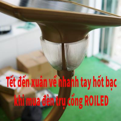 Tết đến xuân về nhanh tay hốt bạc khi mua đèn trụ cổng Roiled