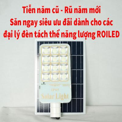 Tiễn năm cũ – Rủ năm mới – Săn ngay siêu đãi ưu dành riêng cho các đại lý đèn tách thể năng lượng Roiled