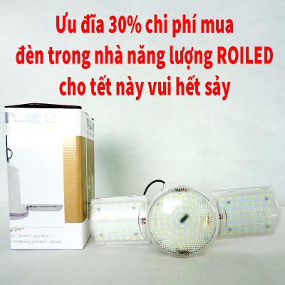 Ưu đãi 30% chi phí mua đèn trong nhà dùng năng lượng Roiled cho Tết này vui hết sảy
