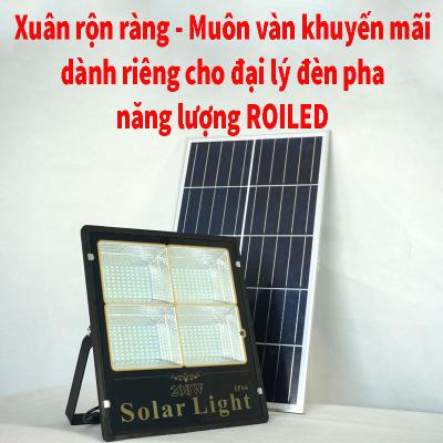 Xuân rộn ràng - Muôn vàn khuyến mãi dành riêng cho đại lý đèn pha năng lượng Roiled