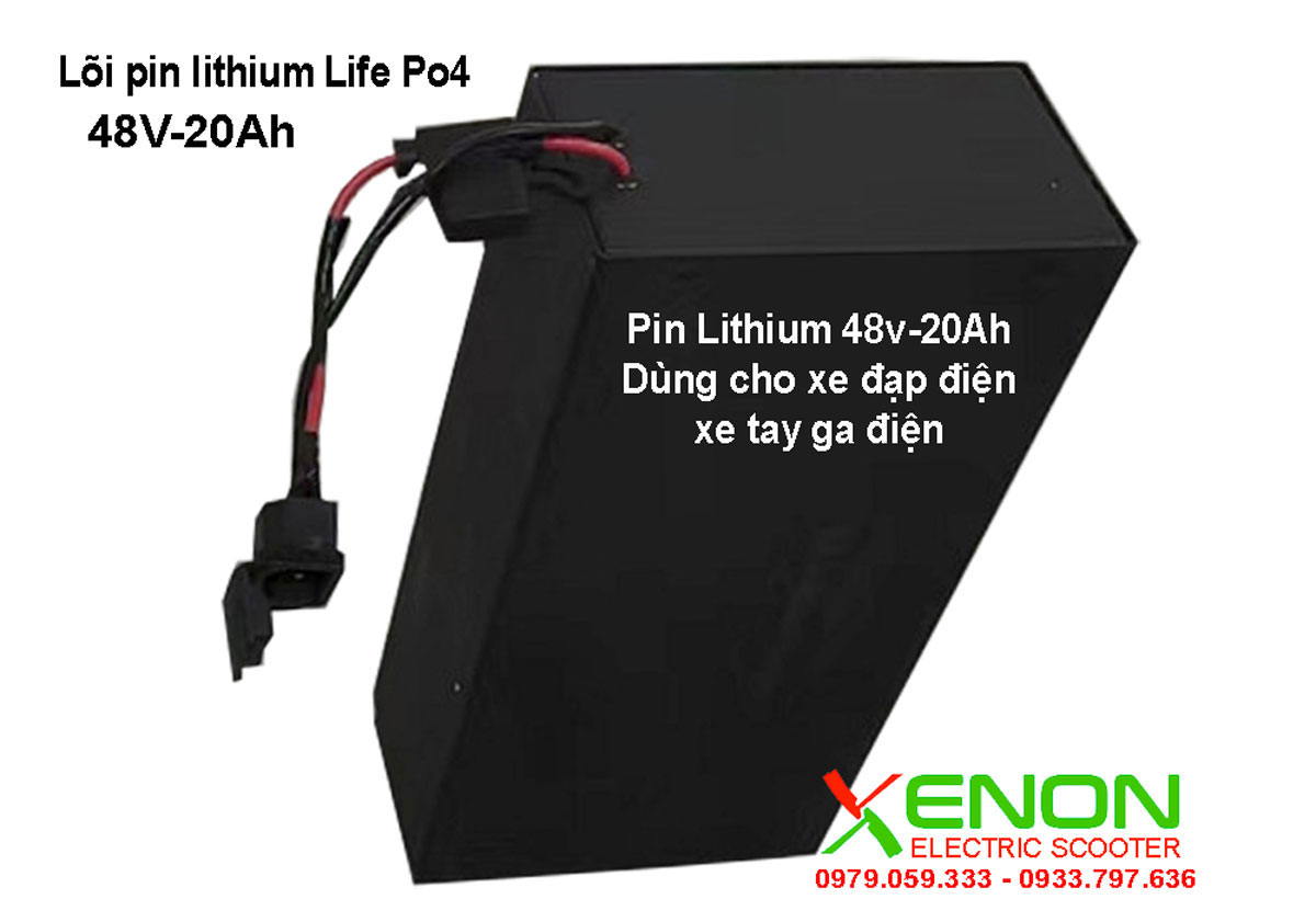 Pin Lithium Lifepo4 48V20Ah dùng cho xe đạp điện