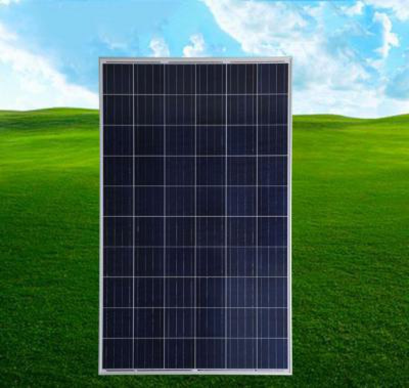 Pin năng lượng mặt trời 100wp 12v